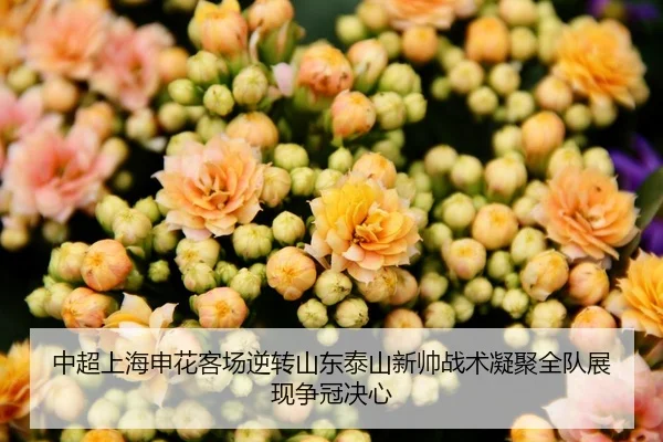 中超上海申花客场逆转山东泰山新帅战术凝聚全队展现争冠决心