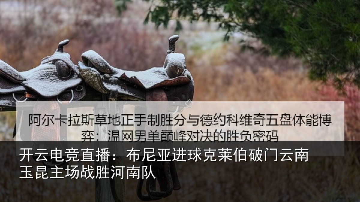开云电竞直播：布尼亚进球克莱伯破门云南玉昆主场战胜河南队