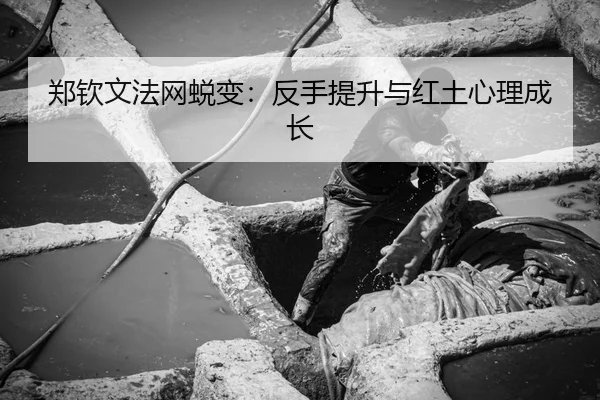 郑钦文法网蜕变：反手提升与红土心理成长