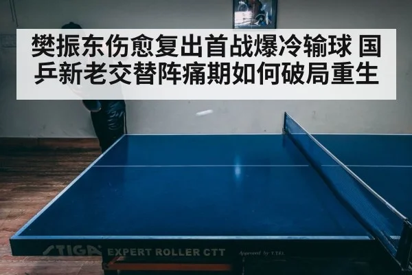 樊振东伤愈复出首战爆冷输球 国乒新老交替阵痛期如何破局重生